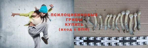 apvp Алзамай
