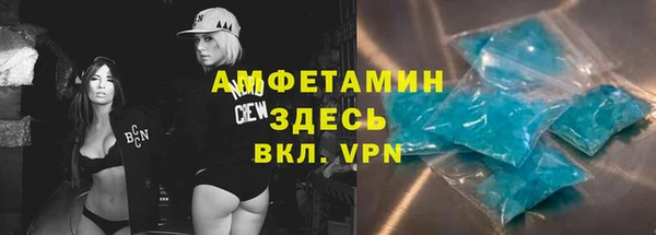 apvp Алзамай