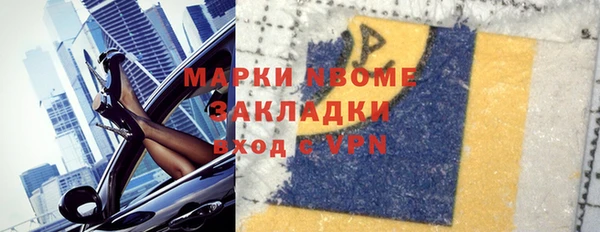 apvp Алзамай