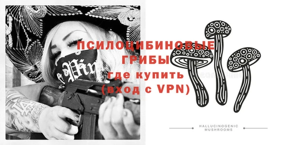 метадон Алексин