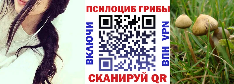 OMG зеркало  купить наркотик  Мирный  Галлюциногенные грибы Cubensis 