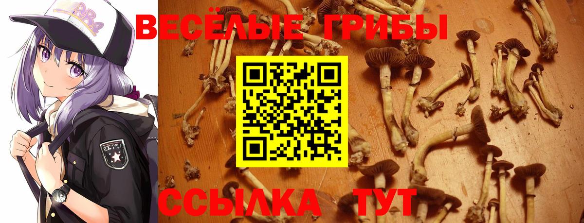 Мирный  Псилоцибиновые грибы мицелий  Галлюциногенные грибы Cubensis  Вход с VPN 
