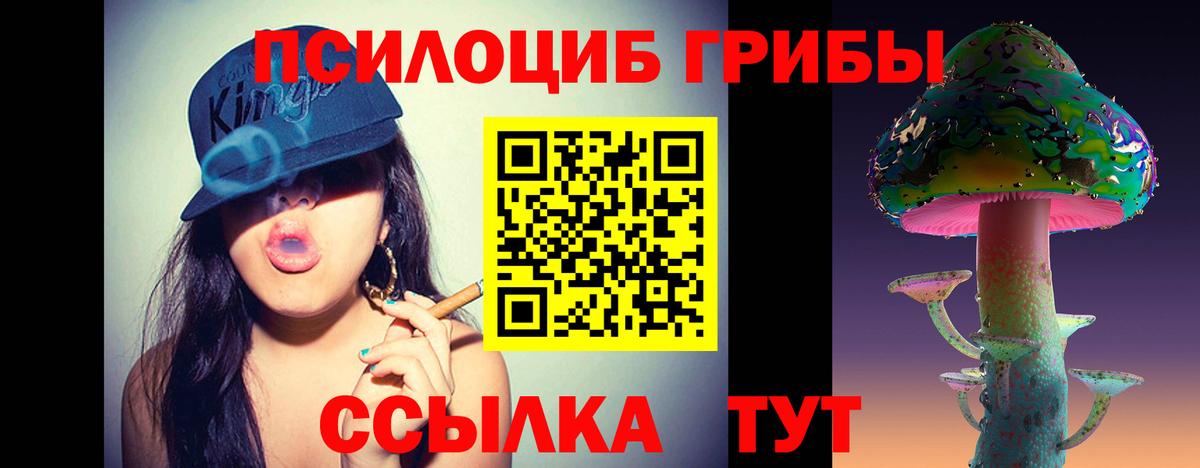 Псилоцибиновые грибы GOLDEN TEACHER Мирный